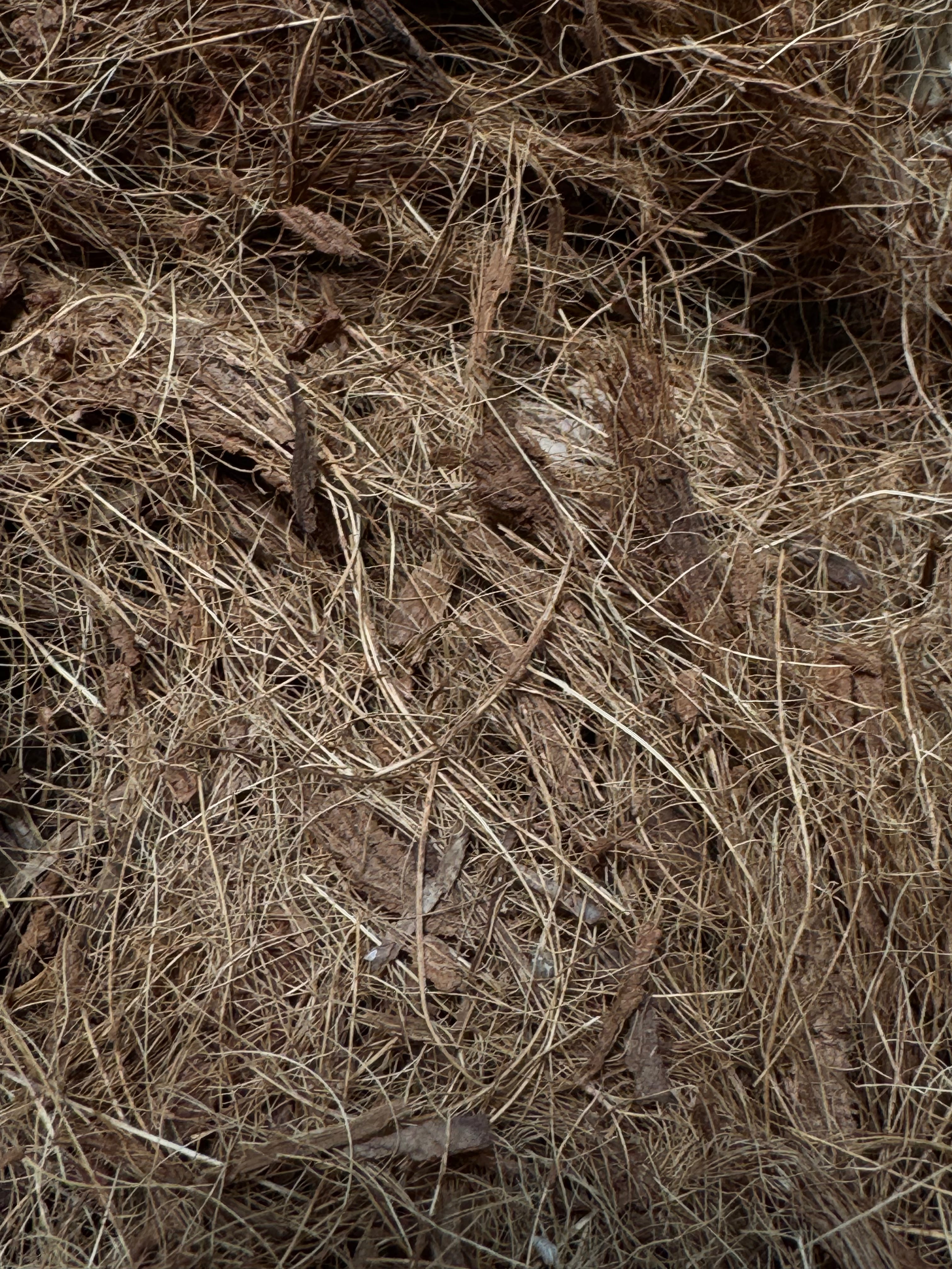 Fibra de Coco