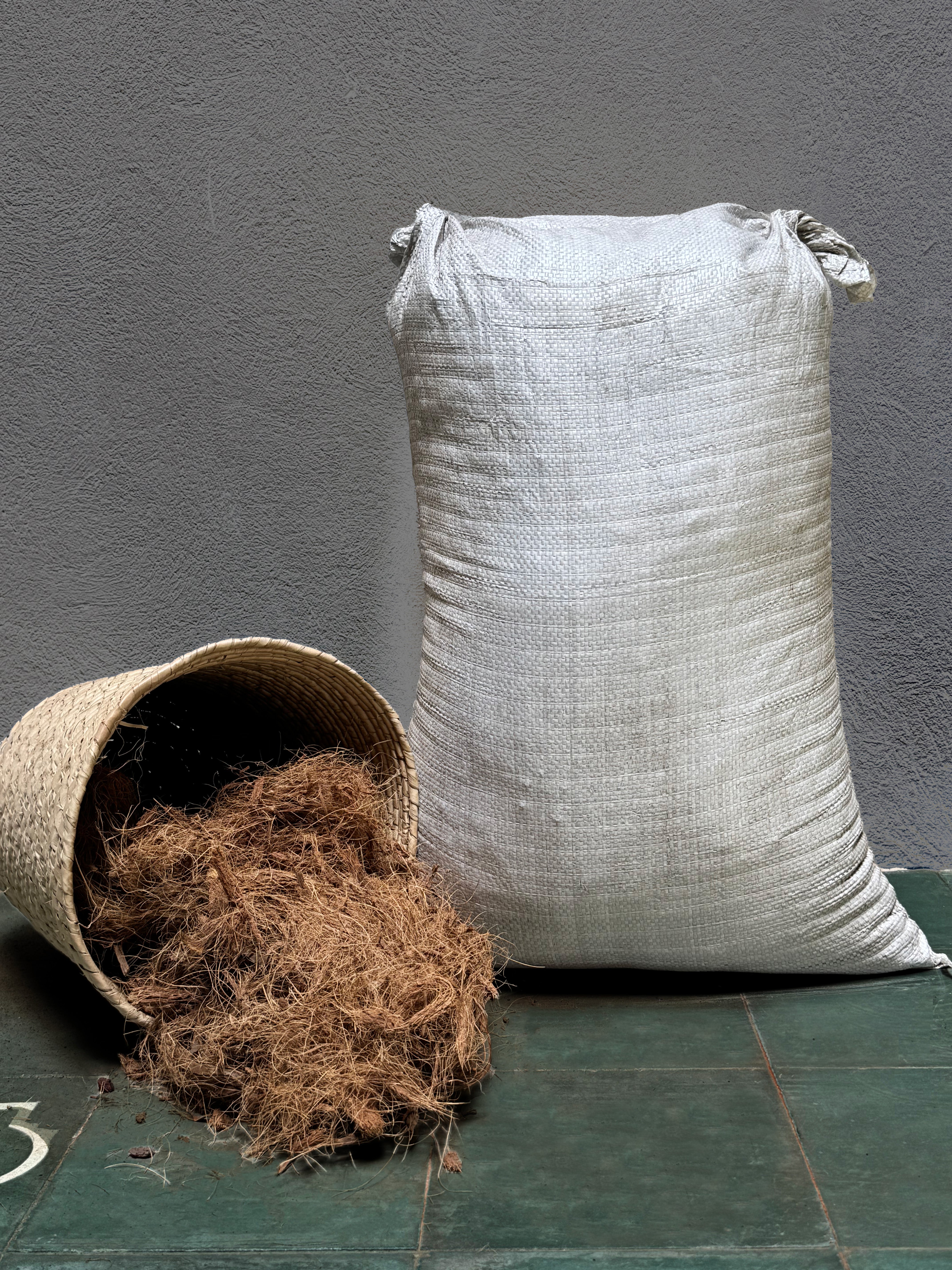 Fibra de Coco