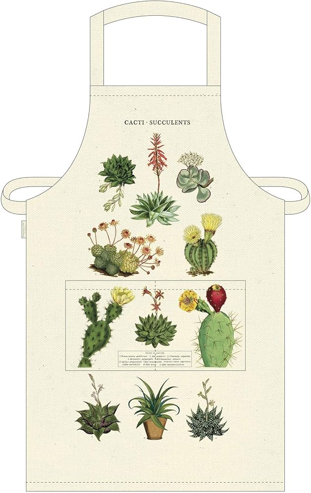 Mandil CACTI & SUCCULENTS