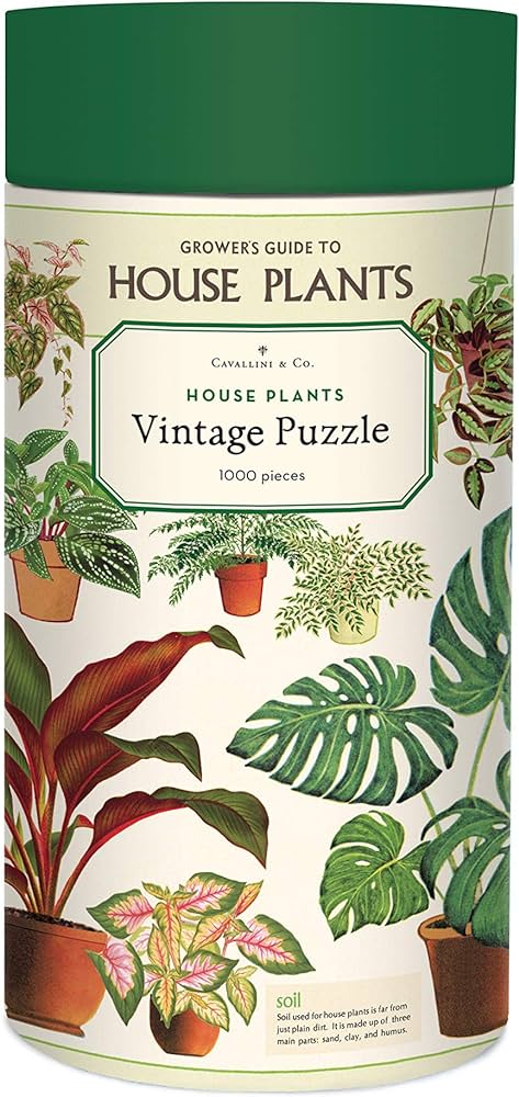 Rompecabezas HOUSE PLANTS