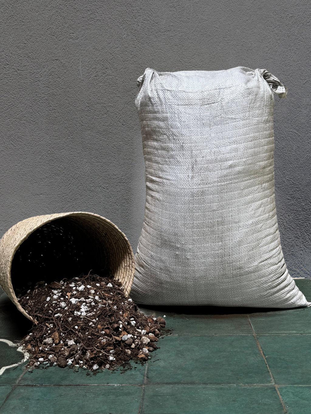 Tierra preparada