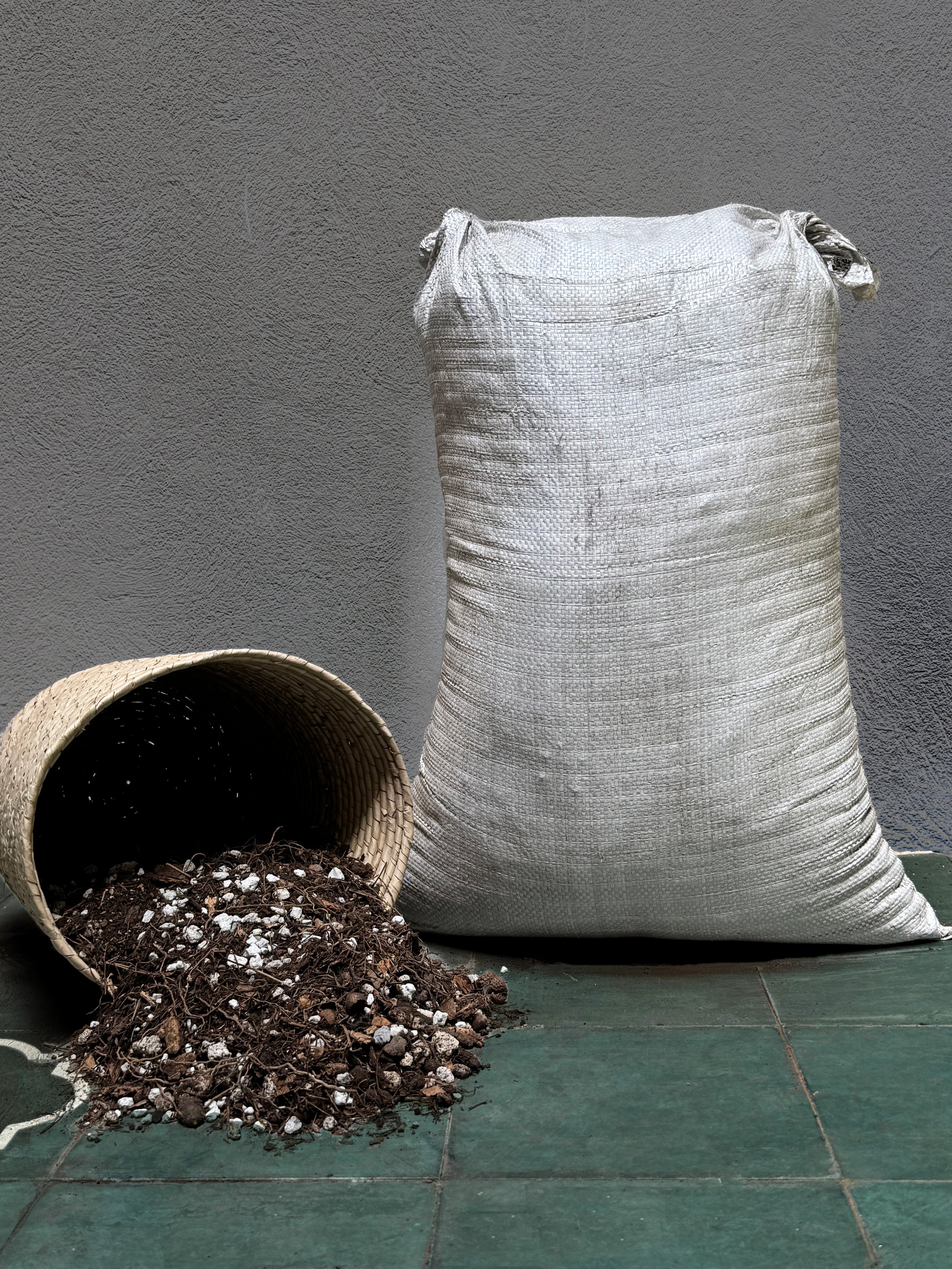Tierra preparada